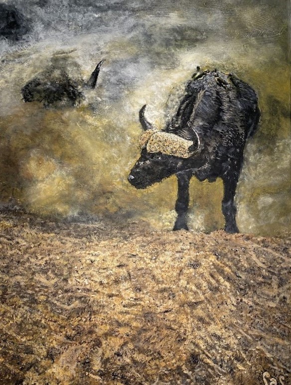 Bull